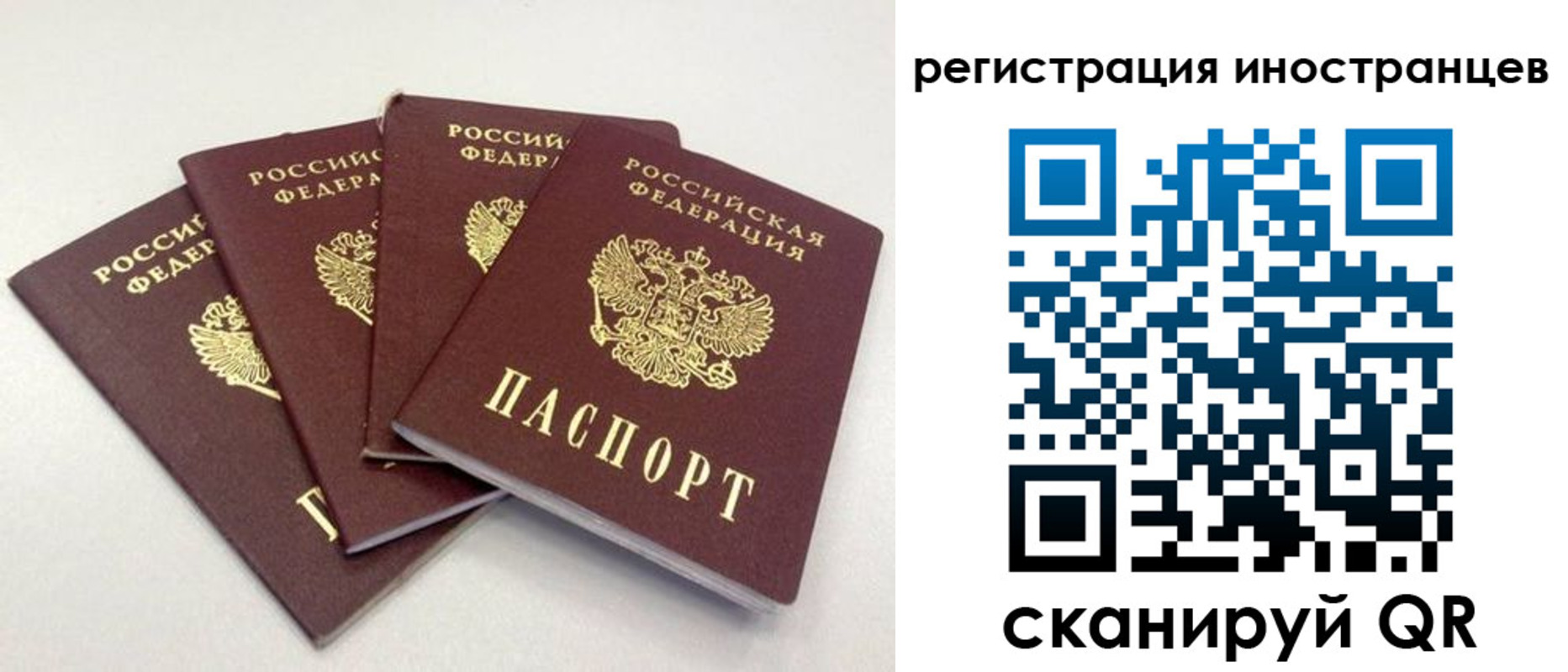 временная регистрация для школы в Новгородской области